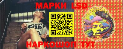 кокс Донской