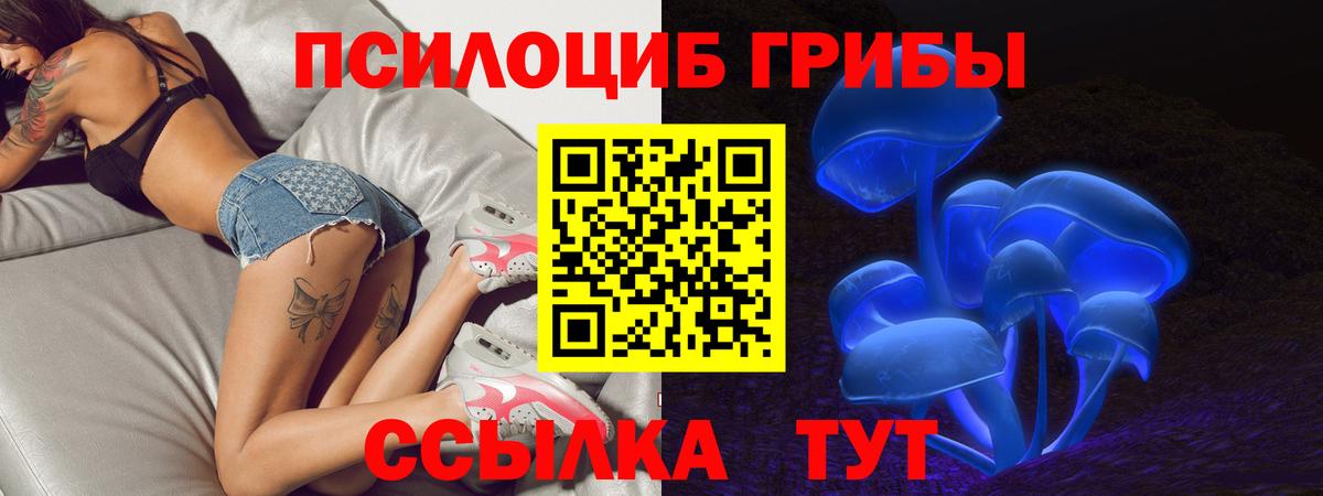 Галлюциногенные грибы Psilocybe Соликамск